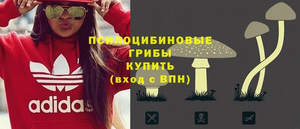 винт Алексеевка